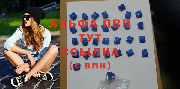 хмурый Верея