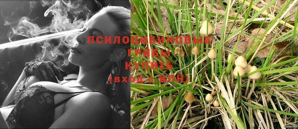 хмурый Верея