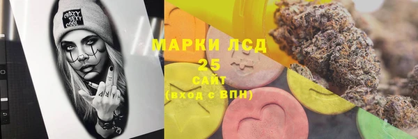хмурый Верея