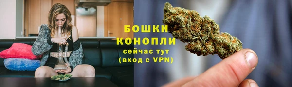 хмурый Верея