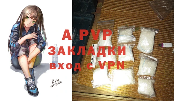 хмурый Верея