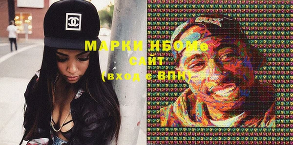 хмурый Верея
