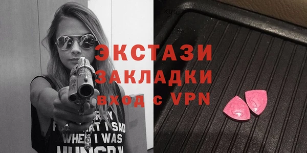 хмурый Верея