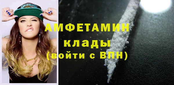 хмурый Верея